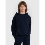 Boys sweatshirt with hood, open, 4F 4FJWMM00TSWSM1860-31S