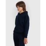 Boys sweatshirt with hood, open, 4F 4FJWMM00TSWSM1860-31S - Image 7