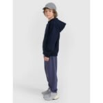 Boys zip-up hooded sweatshirt 4F 4FJRMM00TSWSM2481-31S - Image 6