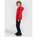 Boys zip-up hoodie sweatshirt 4F 4FJRAW25TSWSM2488-62S - Image 3