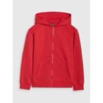 Boys zip-up hoodie sweatshirt 4F 4FJRAW25TSWSM2488-62S - Image 7