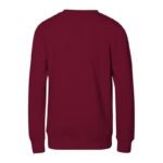 Childrens Crew Sweatshirt (garnet) - Image 4