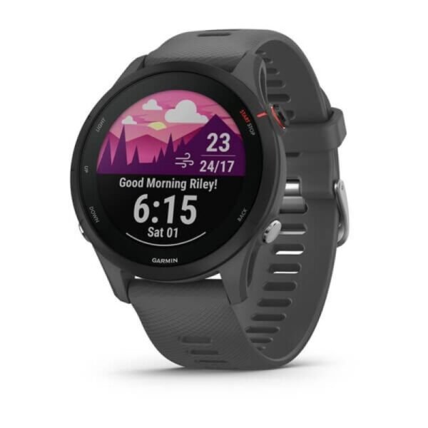 Garmin Forerunner 255 Slate Gray watch