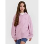 Girls sweatshirt with a hood, 4F 4FJWSS25TSWSF1482-52S