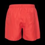 Mens COCONUT Shorts - Image 2