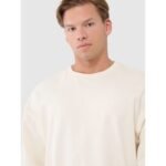 Mens oversize sweatshirt without zipper, without hood 4F 4FWSS25TSWSM1536-80S-12S - Image 4