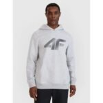 Mens sweatshirt with hood, open, 4F 4FWMM00TSWSM1766-27M
