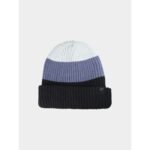 Mens winter beanie hat 4F 4FWAW25ACAPM629-20S