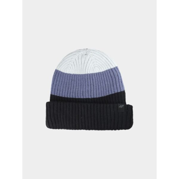 Mens winter beanie hat 4F 4FWAW25ACAPM629-20S