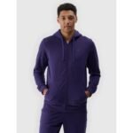 Mens zip-up hooded sweatshirt 4F 4FWMM00TSWSM1768-31S