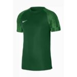 Nike Academy Jr T-shirt DH8369 302