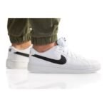 Nike Court Royale 2 NN M DH3160-101 shoes
