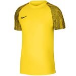Nike Df Academy Jsy SS Jr T-Shirt DH8369 719