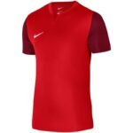 Nike Df Trophy V JSY SS T-Shirt DR0942 657
