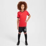 Nike Dri-Fit Academy 25 SS Jr T-Shirt FZ9758 657 - Image 6