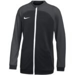 Nike Dri FIT Academy Pro Jr sweatshirt DH9283 011