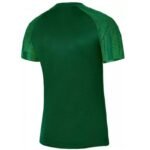 Nike Dri-Fit Academy SS M DH8031 302 T-shirt - Image 4