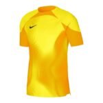 Nike Dri-FIT ADV Gardien 4 M Goalkeeper Jersey DH7760-719