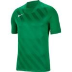 Nike Dri Fit Challenge 3 Y Jr BV6738 302 T-Shirt - Image 3