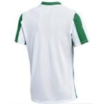 Nike Dri-FIT Stripped Division V Jr. Jersey FZ9341-103 - Image 2