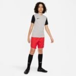 Nike Dri-Fit Tiempo Premier 2 Jr T-Shirt DH8389-052 - Image 3