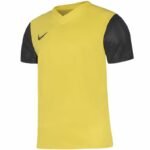 Nike Dri-Fit Tiempo Premier 2 Jr T-Shirt DH8389-719