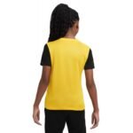 Nike Dri-Fit Tiempo Premier 2 Jr T-Shirt DH8389-719 - Image 3