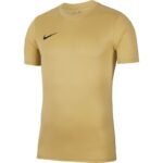 Nike Dry Park VII JSY SS JR BV6741-729 Football Jersey