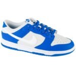 Nike Dunk Low M FN3416-001 shoes
