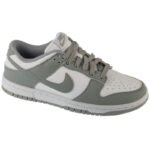 Nike Dunk Low NN W DD1873-113 shoes