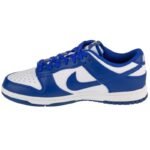 Nike Dunk Low Retro M DV0833-103 shoes - Image 2