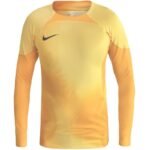 Nike Gardien IV Goalkeeper JSY M DH7967 719 - Image 2