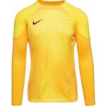 Nike Gardien IV Goalkeeper JSY M DH7967 719 - Image 4