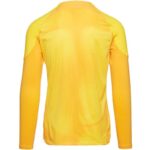 Nike Gardien IV Goalkeeper JSY M DH7967 719 - Image 5