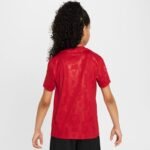 Nike Liverpool FC Academy Pro SS Top Jr FQ0013-688 - Image 2
