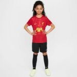 Nike Liverpool FC Academy Pro SS Top Jr FQ0013-688 - Image 4