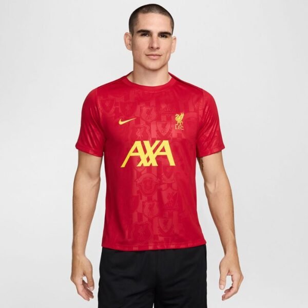 Nike Liverpool FC Academy Pro SStop M FN9653-688 T-Shirt