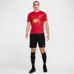 Nike Liverpool FC Academy Pro SStop M FN9653-688 T-Shirt - Image 5
