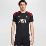 Nike Liverpool FC Strike SS Top M FN9838-013