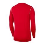 Nike Park 20 Crew Jr BV6901-657 sweatshirt - Image 2