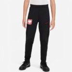 Nike Poland Strike Jr DM9600-010 Pants - Image 2