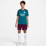 Nike PSG Strike SS Top M FN9821-382 - Image 5