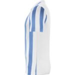 Nike Striped Division IV M CW3813-103 Football Jersey - Image 3
