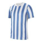 Nike Striped Division IV M CW3813-103 Football Jersey