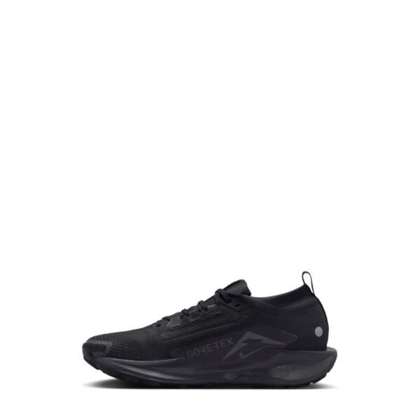 Nike W REACTX PEGASUS TRAIL 5 GTX (FQ0912-002)