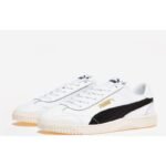 Puma Club 5v5 Shoes M 38940603
