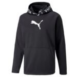 Puma Train Pwr Fleece M 520893 01 sweatshirt