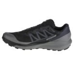 Salomon Sense Ride 4 GTX M 413071 shoes - Image 2