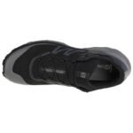 Salomon Sense Ride 4 GTX M 413071 shoes - Image 3