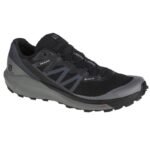 Salomon Sense Ride 4 GTX M 413071 shoes